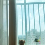 [귀여워어] <b>창밖</b>을 내다보는 아기고양이