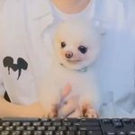 [드루와] 얘들아 지금 들으면 딱 좋을 노래 추천함