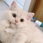 [19] 청소하면서 들을 씐나는 노래 추천점 ~~~!