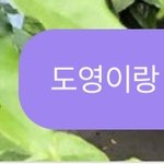 [NCT] 해찬이 버블 사진에 정우랑 도영이 넘 <b>초면</b>이야