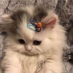 [19] 이거 좀 이상하지 <b>않아</b>?