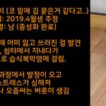 [고양이] 길고양이 <b>쉼터</b>의 악동냥이 '킴 자반이'