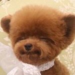 [NCT] 윈프군단 <b>윈윈</b>사랑단 존버해봅니다
