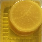 [드루와] +)<b>단무지</b>의 화장법 !