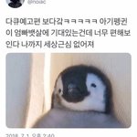 [힘<b>내자</b>] 올해도 끝나가. 수고했어. 힘내자