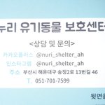 고양이때문에 잠을 못자겠어요 도와주세요