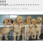 [드루와] 나만 <b>연혁</b> 공주왕자 깨졌음좋겠냐