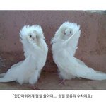 독서실 같은 방 쓰는애 너무 <b>소란</b>스럽다