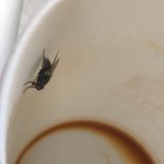 [댓글부탁해] 아 파리 <b>주둥</b>이 ㅈㄴ 소름돋게생겼어