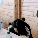 [방탄소년단] 같은 <b>머리묶</b>꾸인데