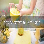 [힘이되줄게] <b>다정</b>한 말에서는 꽃이 핀다~