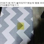 정<b>사각</b>형으로 오줌 싼 개