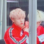 [NCT즌] 아싸.아기<b>핑크</b>푸들.드디어