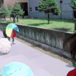 <b>대학생</b> <b>용돈</b> 보통 얼마 받아