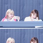 하..사쿠라 <b>노벨</b>미모상 주고싶으다