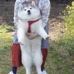 [드루와] 엔팁 들어와