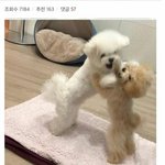 [TXT모아] ❣ 모아톡은 짤 안줘용 ❣