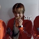 [NCT] 금 깨물어보는 <b>곰도리</b>