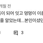 백현 강아지 브이로그 댓글 <b>현황</b>