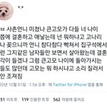 2020 트위터 주작썰 >><b>NEW</b>!