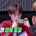 [NCT즌] 죵쳘려 집중하는 표정 완전 예민한 고양이