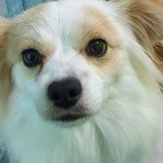 [드루와] 나는 <b>실력충</b>빠라 얼굴+<b>실력</b>임