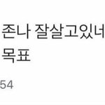 [드루와] 담보 보고온 노스포 훅이 ㅠㅠ