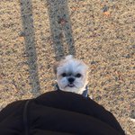 [드루와] 덥뮤다 이상형 궁예할사람! (=자해할사람^^)