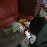 [댓글부탁해] 근데 <b>연생</b>되면 애들 어케 앎??