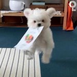 [이것좀봐줘] 얘들아 나 진짜 조카 예뻐진듯 <b>비법</b> 공유함