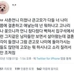 아 진짜 트위터는 기립<b>박수</b>가 국룰임??
