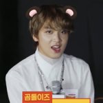 [NCT즌] <b>곰돌이</b> 보고 가실분