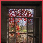 붉은 단풍잎이 생각나는 가을의 분위기들. 계절별 분위기