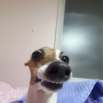 독서실만 오면 똥마려 죽을것같음