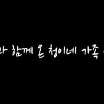 [고양이] 길고양이 <b>쉼터</b>에 과일과 함께 찾아온 '청이네 가족'