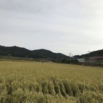 < 제목 : <b>평지</b> 마을의 하루 >