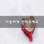 [이것좀봐줘] 따뜻하게 안아주<b>세요</b>~