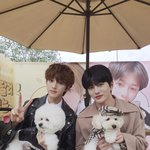 [골든차일드] 강강<b>쥐들</b> 화이팅