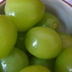 샤인머스켓 진짜 망고맛 남