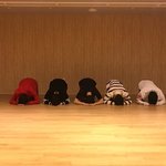 울.효자.들 고맙다.