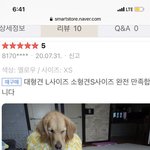 [드루와] 나 강제 <b>반수</b> 당함