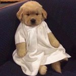 얘들아 나이키 맨투맨 <b>사만</b>원이먄 싼거??