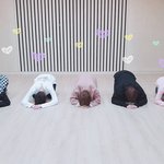 투바투 너무 <b>유교보이</b> 그 자체인것임