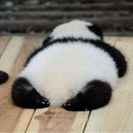 [TXT모아] 이거 진짜 <b>귀여오</b>