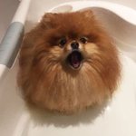 [댓글부탁해] 생일이라 공부안했다