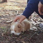 아 나 진짜 작년에 엄청 이쁘신 <b>승무원분</b>