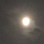 [댓글부탁해] 부모님 키 작은데 난 어느정도까지클까