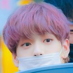 [TXT모아] 보라<b>수비</b>니