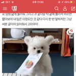 [댓글부탁해] 얘들아 나 톡선 예뻐졌다는 글 쓰니야