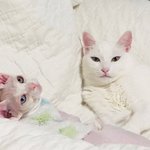 [트레저] 준규 누나들 봤냐ㅜ